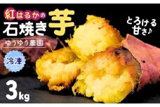 ゆうゆう農園の焼き芋 冷凍 3kg  | 焼芋 焼いも やきいも さつまいも サツマイモ ねっとり スイーツ おやつ ゆうゆう農園 茨城県 龍ケ崎市