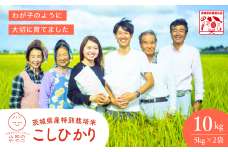 令和７年産新米 特別栽培米 コシヒカリ 10kg 山田のややこ | コシヒカリ こしひかり  特別栽培米 減農薬 冷めてもおいしい お弁当 特別栽培認証 茨城県産 茨城県 龍ケ崎市【茨城県共通返礼品・河内町産】 