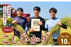 【令和7年度新米】龍ケ崎の美味しい コシヒカリ 玄米  10kg(10㎏×1袋) ❙ こしひかり お米 米 こめ 白米 玄米 新米 冷めてもおいしい 美味しい こだわり おにぎり 茨城県 龍ケ崎市産