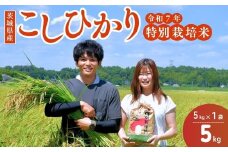 【令和7年度新米】龍ケ崎の特別栽培米 コシヒカリ 5kg(5㎏×1袋) ❙ こしひかり お米 米 こめ 白米 精米 新米 特別栽培米 冷めてもおいしい 美味しい こだわり おにぎり 茨城県 龍ケ崎市産