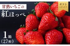 【1月中旬発送】甘熟いちごの紅ほっぺ 選べる数量 1箱 (27粒)  | いちご 苺 イチゴ  紅ほっぺ べにほっぺ 甘い 完熟 完熟いちご 濃厚 果物 フルーツ おやつ デザート ストロベリー パフェ いちご大福 ショートケーキ いちごサンド フルーツサンド ジュース スムージー ショートケーキ ヨーグルト  ギフト 贈答 贈り物 新鮮 期間限定 季節限定 茨城県 龍ケ崎市