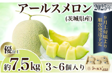 【 先行予約 】 茨城県産 アールスメロン 約7.5kg （ 3 ～ 6個 ）【 2025年9月上旬～10月上旬ごろ発送予定 】【 国産メロン 茨城県産メロン メロンの王様 高級メロン めろん  果物 くだもの フルーツ 季節限定 人気 贈り物 お取り寄せ プレゼント 厳選 デザート マスクメロン ムスク マスク 】