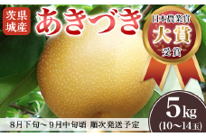 【 先行予約 】【 8月分 数量限定 】 茨城県産 「 あきづき 」 約5kg 【 2025年8月下旬～9月中旬にかけて発送予定 】【 梨 果物 くだもの フルーツ 国産 季節限定 人気 贈り物 お取り寄せ デザート 】