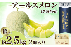 【 先行予約 】 茨城県産 アールスメロン 約2.5kg （ 2個 ）【 2025年9月上旬～10月上旬ごろ発送予定 】【 国産メロン 茨城県産メロン メロンの王様 高級メロン めろん  果物 くだもの フルーツ 季節限定 人気 贈り物 お取り寄せ プレゼント 厳選 デザート マスクメロン ムスク マスク 】