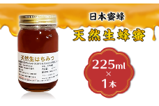 【 先行予約 】 天然生蜂蜜 （ 日本蜜蜂 ）【 2025年8月上旬から順次発送予定 】【 ハチミツ 蜂蜜 はちみつ 生蜂蜜 蜂 お菓子 瓶タイプ 砂糖 甘い 濃厚 】