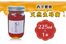 天然生蜂蜜 （ 西洋蜜蜂 ） 【 2025年6月上旬から順次発送予定 】 【 ハチミツ 蜂蜜 はちみつ 生蜂蜜 蜂 お菓子 瓶タイプ 砂糖 甘い 濃厚 】