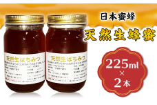 【 先行予約 】 天然生蜂蜜 （ 日本蜜蜂 ） 2本セット 【 2025年8月上旬から順次発送予定 】【 ハチミツ 蜂蜜 はちみつ 生蜂蜜 蜂 お菓子 瓶タイプ 砂糖 甘い 濃厚 】