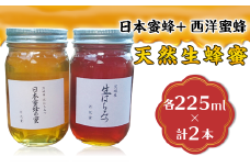 【 先行予約 】天然生蜂蜜 （ 日本蜜蜂 と 西洋蜜蜂 ） 【 2025年8月上旬から順次発送予定 】 【 ハチミツ 蜂蜜 はちみつ 生蜂蜜 蜂 お菓子 瓶タイプ 砂糖 甘い 濃厚 】