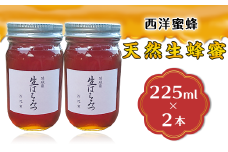 天然生蜂蜜  （ 西洋蜜蜂 ） 2本セット 【 2025年6月上旬から順次発送予定 】 【 ハチミツ 蜂蜜 はちみつ 生蜂蜜 蜂 お菓子 瓶タイプ 砂糖 甘い 濃厚 】
