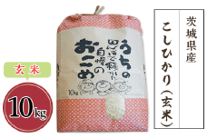 令和6年産 茨城県産こしひかり （ 玄米 ） 10kg 2週間以内発送【 R6年産 米 お米 コメ 国産 下妻市 コシヒカリ 】