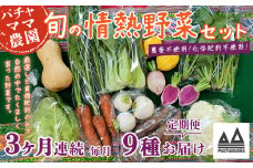 【 3ヶ月連続お届け 】 農園自慢の情熱野菜セット （ 9品 ）【 野菜 詰め合わせ お任せ 季節物 定期便 セット 山芋 パセリ わさび菜 ポップコーン かぶ 人参 里芋 たまねぎ 玉ねぎ ルッコラ ほうれん草 春菊 大根 芽キャベツ レタス じゃがいも さつまいも とうもろこし そら豆 枝豆 パクチー ビーツ ほうれん草 キャベツ ピーマン なすトマト かぼちゃ 】