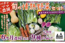 【 6ヶ月連続お届け 】 農園自慢の情熱野菜セット （ 9品 ）【 野菜 詰め合わせ お任せ 季節物 定期便 セット 山芋 パセリ わさび菜 ポップコーン かぶ 人参 里芋 たまねぎ 玉ねぎ ルッコラ ほうれん草 春菊 大根 芽キャベツ レタス じゃがいも さつまいも とうもろこし そら豆 枝豆 パクチー ビーツ ほうれん草 キャベツ ピーマン なすトマト かぼちゃ 】
