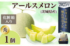【 先行予約 】 茨城県産 アールスメロン 【 秀品 】 1個 【 2025年9月上旬～10月上旬ごろ発送予定 】【 国産メロン 茨城県産メロン メロンの王様 高級メロン めろん  果物 くだもの フルーツ 季節限定 人気 贈り物 お取り寄せ プレゼント 厳選 デザート マスクメロン ムスク マスク 】