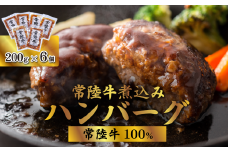 【 常陸牛 100% 】常陸牛煮込みハンバーグ 1.2kg （ 200g × 6袋 ）【 牛 牛肉 和牛 黒毛和牛 はんばーぐ 小分け 】[SZR]