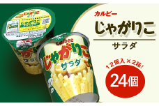 カルビー じゃがりこ サラダ 2箱 （ 24個 ）【 下妻工場産 】【 お菓子 おやつ ポテト じゃがいも 人気 ふるさと納税 サラダ味 】