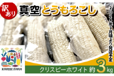 【 先行予約 】【 訳あり 】 真空とうもろこし 3kg （ クリスピーホワイト ）【 とうもろこし 食べ比べ コーン トウモロコシ 野菜 セット クリスピーホワイト 】[SZR]