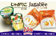 カルビー じゃがりこ ・ じゃがビー セット 2箱 （ 計24個 ）【 下妻工場産 】【 お菓子 おやつ ポテト じゃがいも 人気 ふるさと納税 サラダ味 素材 】