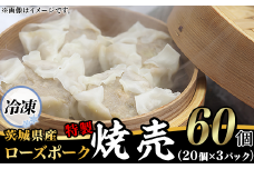 たっぷり60個！ 茨城県産 ローズポークのジューシー 特製 焼売 60個 ( 冷凍 20個 × 3パック ) 【 ジューシー 茨城ブランド豚 ローズポーク 豚肉 小麦 春よ来 使用 もちもち ぷりぷり シュウマイ シューマイ 中華 餃子人気 飲茶 豚肉 】 [SZR]