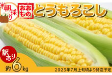 【 訳あり 】【 先行予約 】 下妻産 朝採りとうもろこし （ おおもの ） 約6kg 【 2025年7月上旬～8月中旬ころ順次発送予定 】【 とうもろこし コーン 糖度 トウモロコシ おおもの 朝採り 新鮮 スイートコーン スイート 】[SZR]