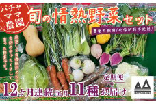 【 12ヶ月連続お届け 】 農園自慢の情熱野菜セット （ 11品 ）【 野菜 詰め合わせ お任せ 季節物 定期便 セット 山芋 パセリ わさび菜 ポップコーン かぶ 人参 里芋 たまねぎ 玉ねぎ ルッコラ ほうれん草 春菊 大根 芽キャベツ レタス じゃがいも さつまいも とうもろこし そら豆 枝豆 パクチー ビーツ ほうれん草 キャベツ ピーマン なすトマト かぼちゃ 】