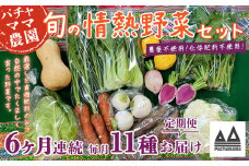 【 6ヶ月連続お届け 】 農園自慢の情熱野菜セット （ 11品 ）【 野菜 詰め合わせ お任せ 季節物 定期便 セット 山芋 パセリ わさび菜 ポップコーン かぶ 人参 里芋 たまねぎ 玉ねぎ ルッコラ ほうれん草 春菊 大根 芽キャベツ レタス じゃがいも さつまいも とうもろこし そら豆 枝豆 パクチー ビーツ ほうれん草 キャベツ ピーマン なすトマト かぼちゃ 】