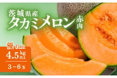 【 先行予約 】 茨城県産 タカミレッドメロン 約4.5kg （ 3 ～ 6個 ）【 2025年5月中旬〜6月上旬ごろ発送予定 】【 果物 くだもの フルーツ 国産 季節限定 人気 贈り物 お取り寄せ プレゼント 厳選 赤肉 デザート 】