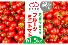 【 訳あり 】 フルーツミニトマト1.5kg 【 フードロス対策 】 【 トマト フルーツミニトマト 詰め合わせ ミニトマト 甘い 野菜 】 [SZR]