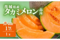 【 先行予約 】茨城県産 タカミレッドメロン【 秀品 】 1個 （ 1kg以上 ）【 2025年5月中旬〜6月上旬ごろ発送予定 】【 果物 くだもの フルーツ 国産 季節限定 人気 贈り物 お取り寄せ プレゼント 厳選 赤肉 デザート 】