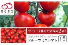 フルーツミニトマト1kg 【 トマト とまと 野菜  甘い 人気 おすすめ 茨城県 下妻市 】 [SZR]