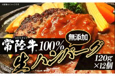 生ハンバーグ 120g × 12個 【 常陸牛 】 100％ 【 牛肉 牛 肉 はんばーぐ 無添加 ブランド牛 冷凍 ブランド 人気 おすすめ 国産 黒毛和牛 】[SZR]