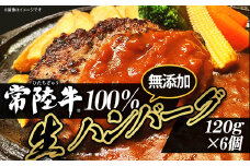 生ハンバーグ 120g × 6個 【 常陸牛 】100％ 【 牛肉 牛 肉 はんばーぐ 無添加 ブランド牛 冷凍 ブランド 人気 おすすめ 国産 黒毛和牛 】[SZR]