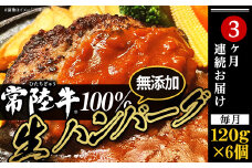 生ハンバーグ 120g × 6個 【 常陸牛 】 100％ 【 3ヶ月連続お届け 】【ハンバーグ 生ハンバーグ 常陸牛 冷凍 牛肉 贅沢 黒毛和牛 おかず 惣菜 便利】[SZR]