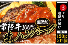 生ハンバーグ 120g × 12個 【 常陸牛 】 100％ 【 3ヶ月連続お届け 】【ハンバーグ 生ハンバーグ 常陸牛 冷凍 牛肉 贅沢 黒毛和牛 おかず 惣菜 便利】[SZR]