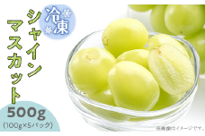 【 先行予約 】 冷凍シャインマスカット 500g （ 100g × 5パック ）【 2025年10月中旬以降発送予定 】【TV等で話題の凍眠（急速冷凍）】【 シャインマスカット マスカット ブドウ 葡萄 冷凍 ぶどう 甘い 食べ切り 便利 スイーツ 果物 フルーツ シャインマスカット 】[SZR]