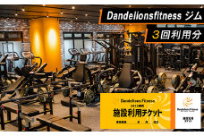 ジム 利用チケット × 3回 （ Dandelionsfitness ）【 利用券 体験 チケット トレーニング 筋トレ 健康 スポーツ ダイエット 】