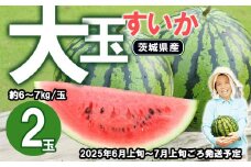 【 先行予約 】 茨城県産 大玉すいか 2玉セット （ 約6 ～ 7kg / 玉 ）【 2025年6月上旬～7月上旬ごろ発送予定 】【 スイカ すいか 西瓜 果物 くだもの フルーツ 国産 季節限定 人気 贈り物 お取り寄せ プレゼント 厳選 デザート 】