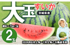 【 先行予約 】 茨城県産 大玉すいか 2玉セット （ 約6 ～ 7kg / 玉 ）【 2026年6月上旬～7月上旬ごろ発送予定 】【 スイカ すいか 西瓜 果物 くだもの フルーツ 国産 季節限定 人気 贈り物 お取り寄せ プレゼント 厳選 デザート 】