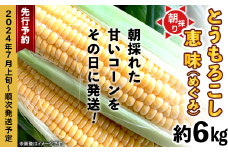 朝採りとうもろこし 約6kg （ 恵味 ）【 先行予約：2024年7月上旬～7月下旬ころ順次発送予定 】【 とうもろこし トウモロコシ とうきび 甘い スイーツ デザート コーン 人気 野菜 新鮮 おすすめ 】[SZR]