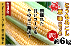 【 訳あり 】朝採りとうもろこし 約6kg （ 恵味 ）【 先行予約：2024年7月上旬～7月下旬ころ順次発送予定 】【 トウモロコシ とうもろこし 朝採り コーン 野菜 スイート 甘い 茨城県産 朝採れ 】[SZR]