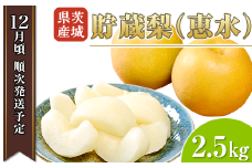 茨城県産 「 貯蔵梨 」 恵水 約2.5kg 【 2023年12月に発送予定 】【 梨 恵水 なし フルーツ 果物 秋の味覚 デザート 貯蔵梨 大容量 】