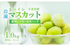 【 訳あり 】 冷凍シャインマスカット 約1kg （ 約200g × 5パック ）【 TV等で話題の凍眠 （ 急速冷凍） 】【 わけあり フルーツ 果物 ぶどう ブドウ 葡萄 茨城県産 国産 農園 人気 スイーツ お取り寄せ 】[SZR]