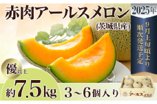 【 先行予約 】 茨城県産 アールスメロン 「 赤 」 約7.5kg （ 3～6個 ）【 2025年9月上旬～10月上旬ごろ発送予定 】【 国産メロン 茨城県産メロン メロンの王様 高級メロン めろん  果物 くだもの フルーツ 季節限定 人気 贈り物 お取り寄せ プレゼント 厳選 デザート マスクメロン ムスク マスク 】