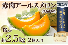 【 先行予約 】 茨城県産 アールスメロン 「 赤 」 約2.5kg （ 2個 ）【 2025年9月上旬～10月上旬ごろ発送予定 】【 国産メロン 茨城県産メロン メロンの王様 高級メロン めろん  果物 くだもの フルーツ 季節限定 人気 贈り物 お取り寄せ プレゼント 厳選 デザート マスクメロン ムスク マスク 】