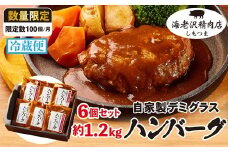 【 海老沢精肉店 】 デミグラス ハンバーグ 6個セット 約1.2kg ( 約200g × 6個 )【 至極の一品 黒毛和牛 国産豚肉 牛肉 豚肉 黄金比 ハンバーグ  ソース たっぷり 冷蔵 小分け 人気 真空パック 湯銭 簡単 極旨 】
