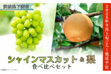 【 2025年 先行予約 】 シャイン マスカット & 梨 人気 フルーツ 食べ比べ セット 【 2025年 9月上旬ころ ～ 9月中旬ころ発送予定 】 シャインマスカット 1房 700g以上 梨 2玉 豊水 or あきづき 茨城県 下妻市産 
