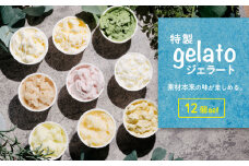 特製ジェラート 12個入り【 アイス ジェラート アイスクリーム デザート 夏 冷たい スイーツ ご当地 おまかせ 人気スイーツ 秋 バニラ 和梨 いちごミルク スイーツ 焼き芋 さしま茶 スイーツ メロン 梅 紫煌 酒 栗 スイーツ 詰め合わせ カップ 子供 スイーツ セット 冬 フレーバー 季節 冷凍 スイーツ 】[SZR]