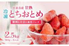 【 訳あり 】 冷凍いちご 2.5kg ( 500g x 5 ) 甘熟 完熟【 2025年4月ごろ発送予定 】【 凍眠冷凍 】 Ben‘ｓ Berry 【 いちご イチゴ 苺 とちおとめ 冷凍いちご 便利 甘熟 完熟 甘い ストロベリー 果物 フルーツ 】[SZR]