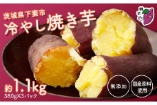 茨城県産 冷やし焼き芋 約1.1kg ( 約380g × 3パック )【 焼き芋 冷やし焼き芋 芋 スイーツ さつまいも シルクスイート 紅はるか おまかせ 】