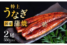 【  発送月・容量が選べる！ 】【 08月発送 】 国産 うなぎ蒲焼 特上うなぎ2尾 合計550g以上 山椒付き 鰻 ウナギ たれ タレ たっぷり うな重 鰻重 ひつまぶし
