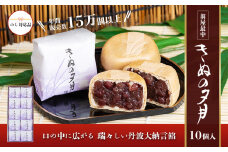 1771年創業 翁屋最中「 きぬの夕月 」10個入 【 のし対応可 】 【 最中 もなか モナカ あんこ 餡 丹波 大納言 小豆 名菓 贈り物 お取り寄せ お茶請け お歳暮 お中元 老舗 スイーツ おやつ 】